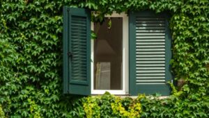 Menuiseries extérieures : De l&rsquo;importance de redécouvrir les volets