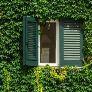 Menuiseries extérieures : De l&rsquo;importance de redécouvrir les volets