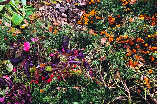 compostage au jardin