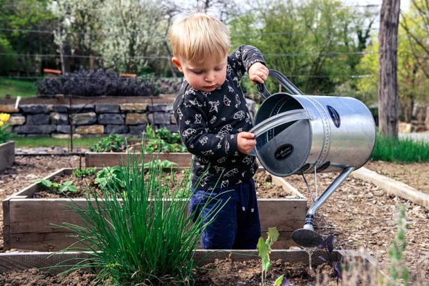 potager avec enfants