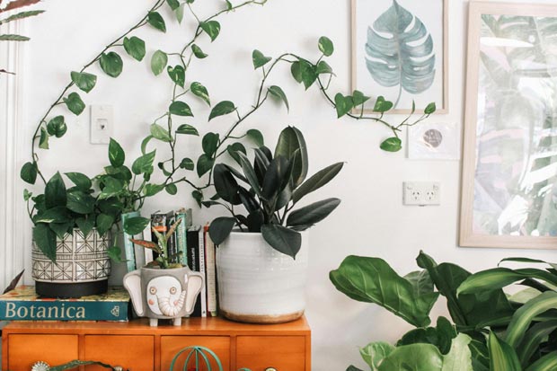 intérieur naturel