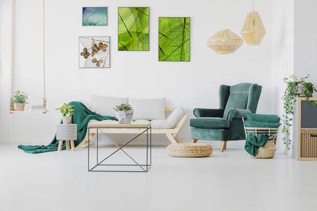 posters plantes dans le salon