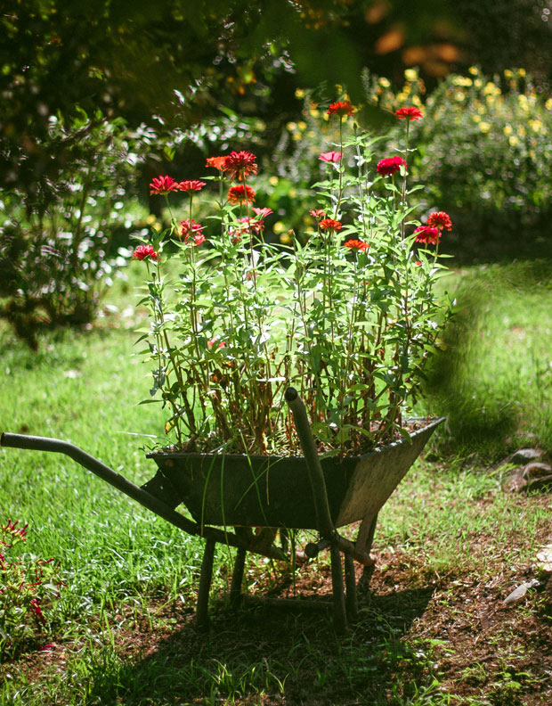 entretien jardin