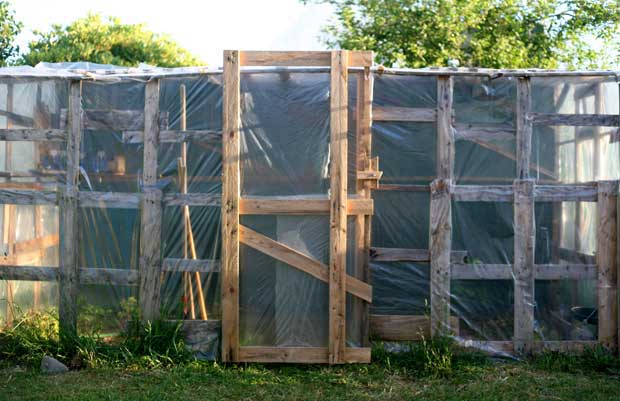 Comment fabriquer une serre de jardin : 2 méthodes