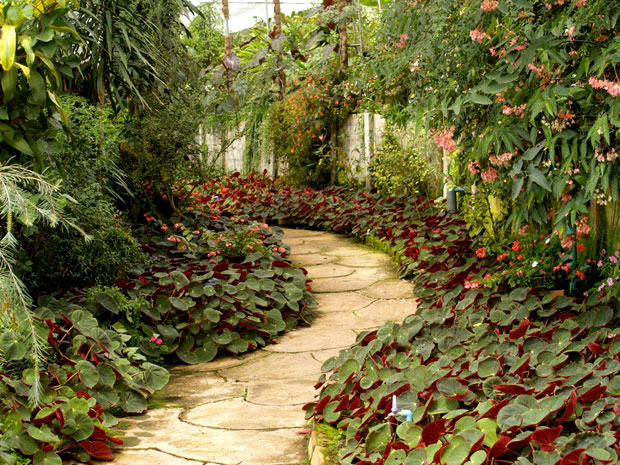 jardin allée pierres