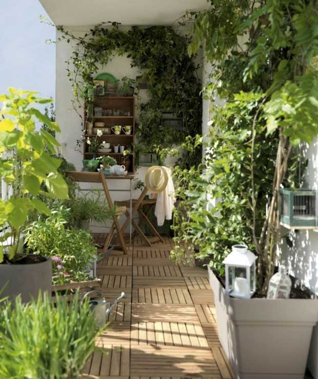 plantes pour balcons