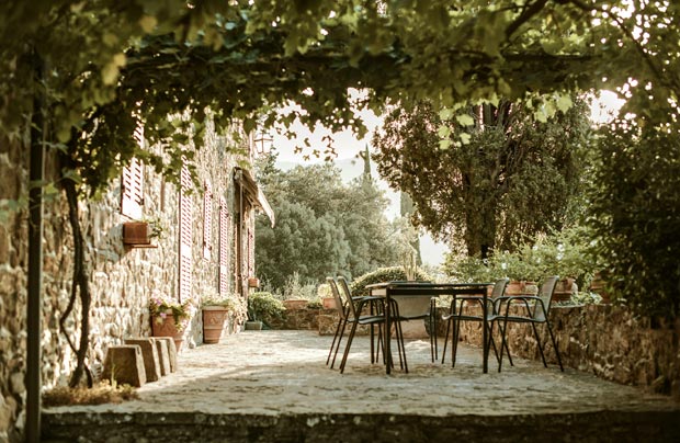 treille avec vigne