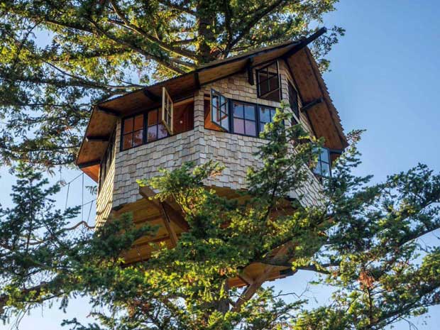 cabane dans un arbre