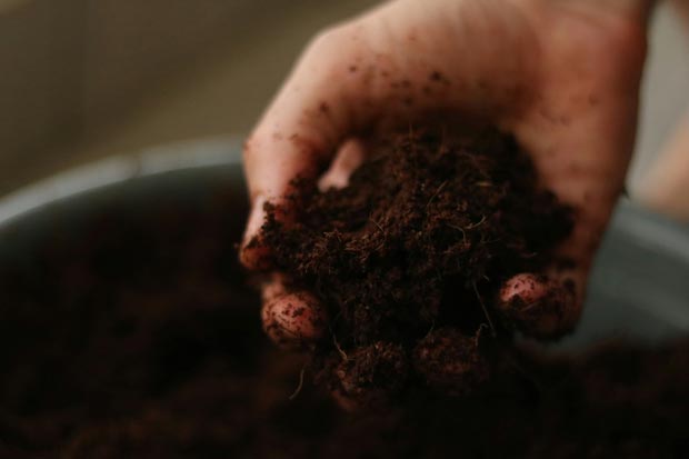 compost
