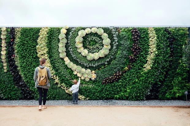 mur végétal