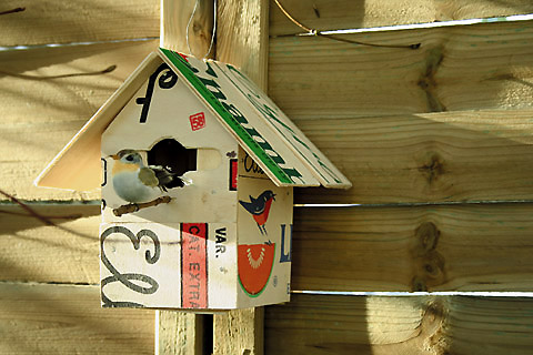 Cabane à oiseaux en bois