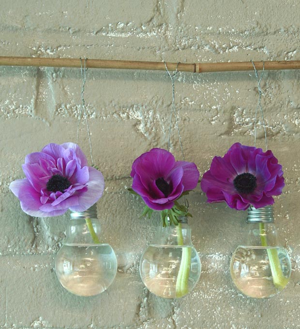 recup ampoules vases