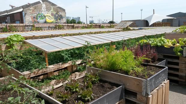 Nantes potager La cantine