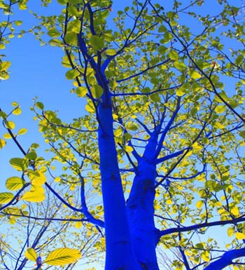 land art arbre bleu