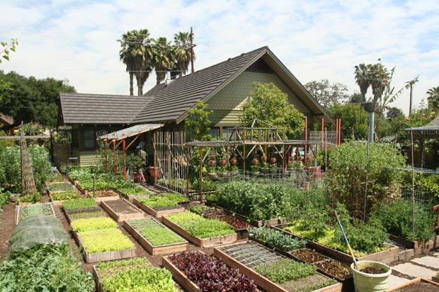 Permaculture