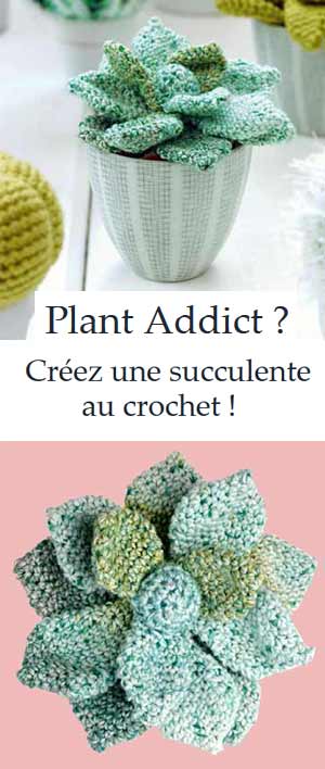 tuto succulente au crochet